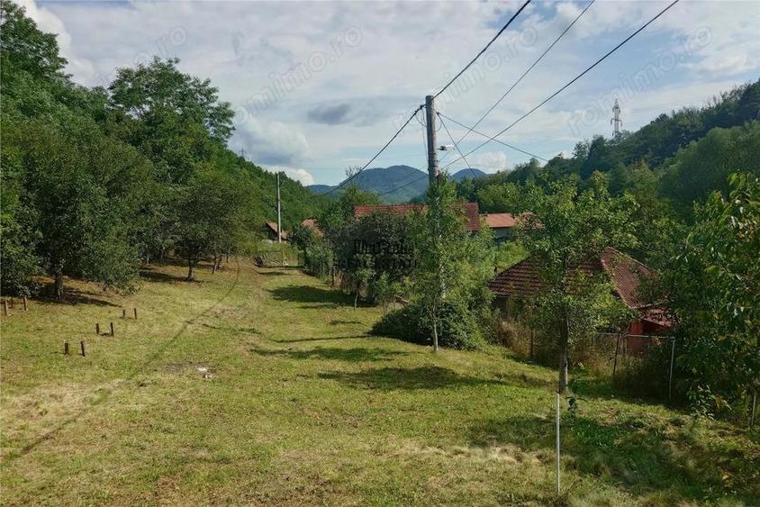 Cabana, anexe si 2000 mp teren intravilan in Taratel, Brad - 3