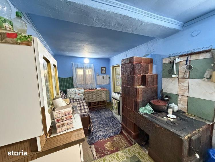 Casa Batraneasca la 8 km de Topoloveni - 2