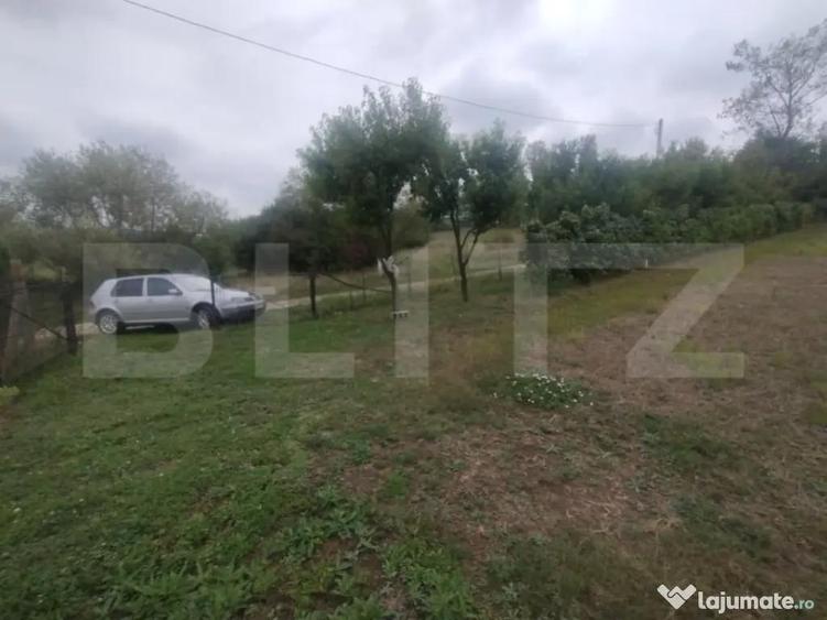 Cabana + teren intravilan, 50 ari, oras Beclean - 5