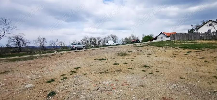 Teren 26500mp investitie dezvoltator imobiliar km 7 Calea Caransebesului 11 euro negociabil - 9