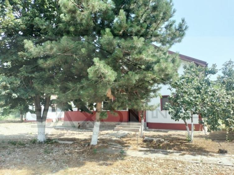 Casă individuală cu 5 camere cu Teren 4040 Mp în Drăgoești