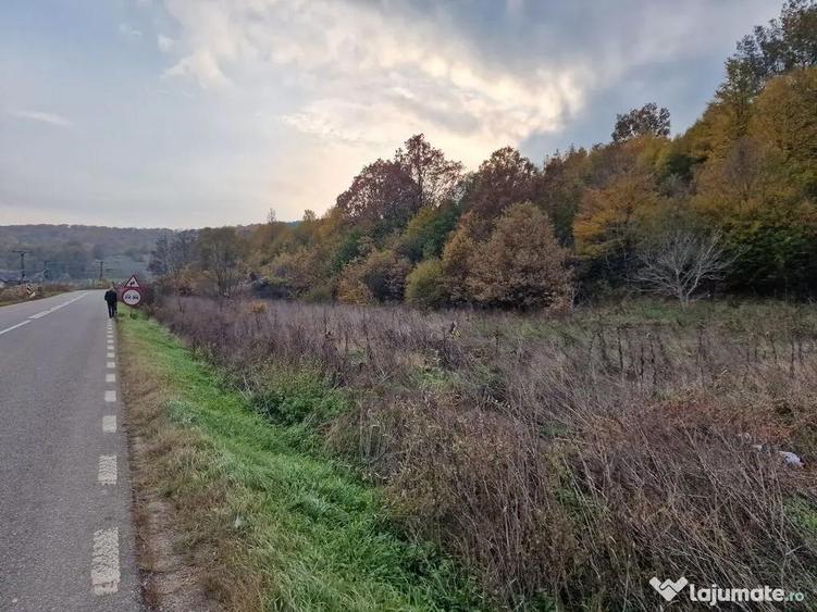 Teren 1,717mp Margineni / Strada Sat podis - 8