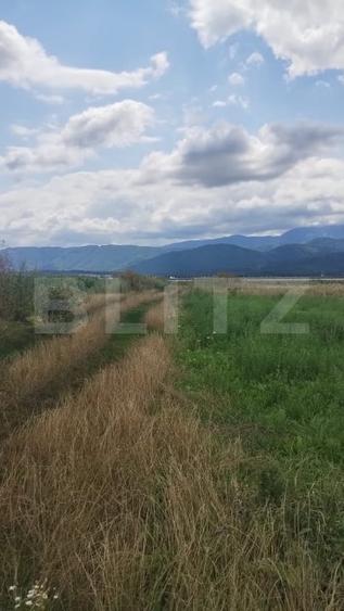Teren agricol extravilan de 10000 mp, în Cristian