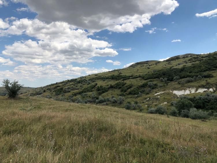 Teren agricol extravilan de 500000 mp, în Tohani