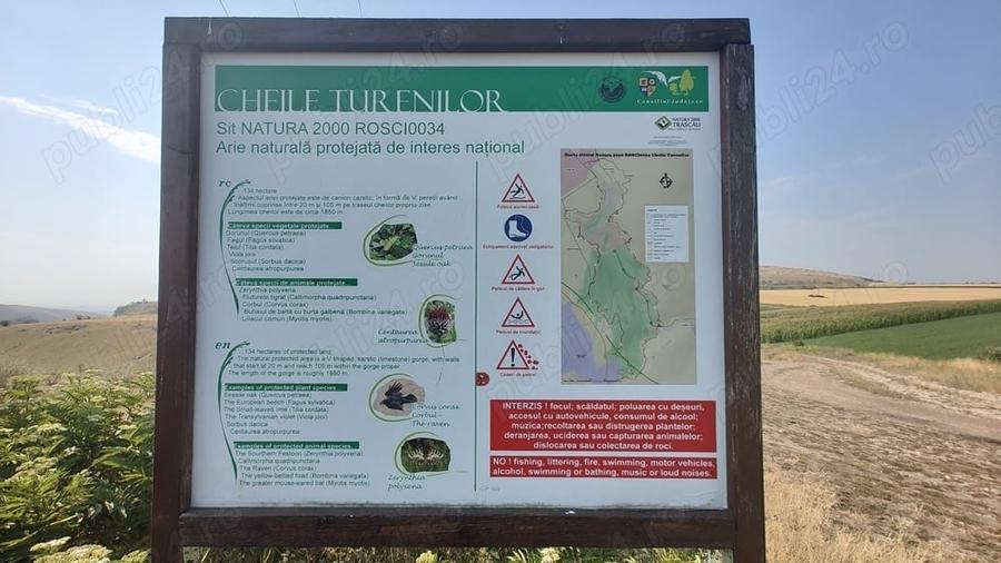 Teren de 5000 mp, în Tureni