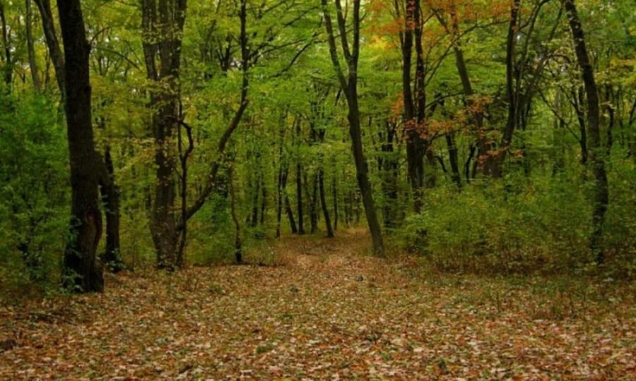 Teren agricol extravilan de 650 mp, în Slobozia Mândra