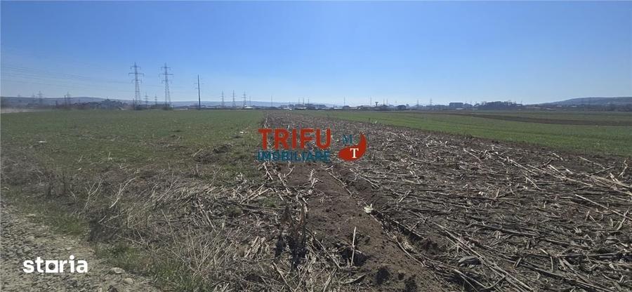 Teren de 2350 mp, în Bărăbanț