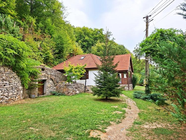 Casă individuală cu 3 camere cu Teren 1790 Mp în Săcărâmb