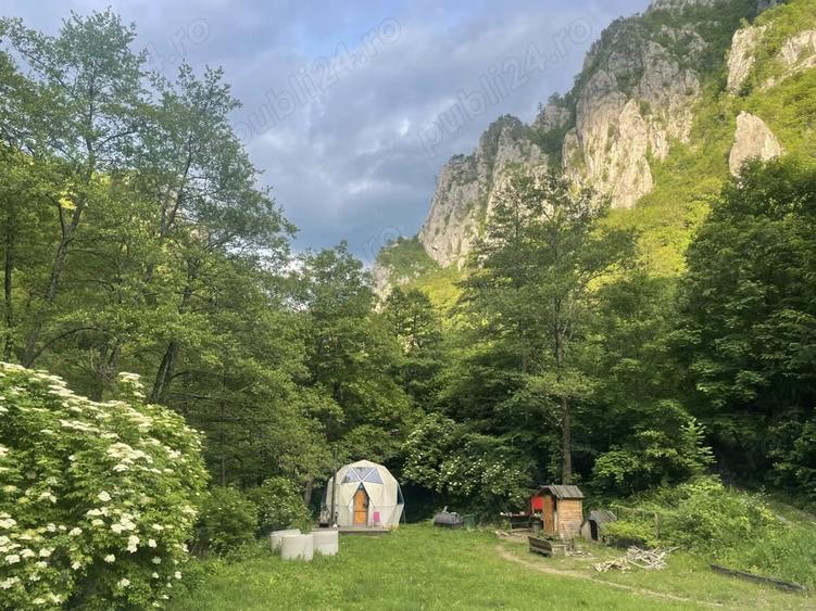 Casă cu 3 camere cu Teren 1700 Mp în Băile Herculane