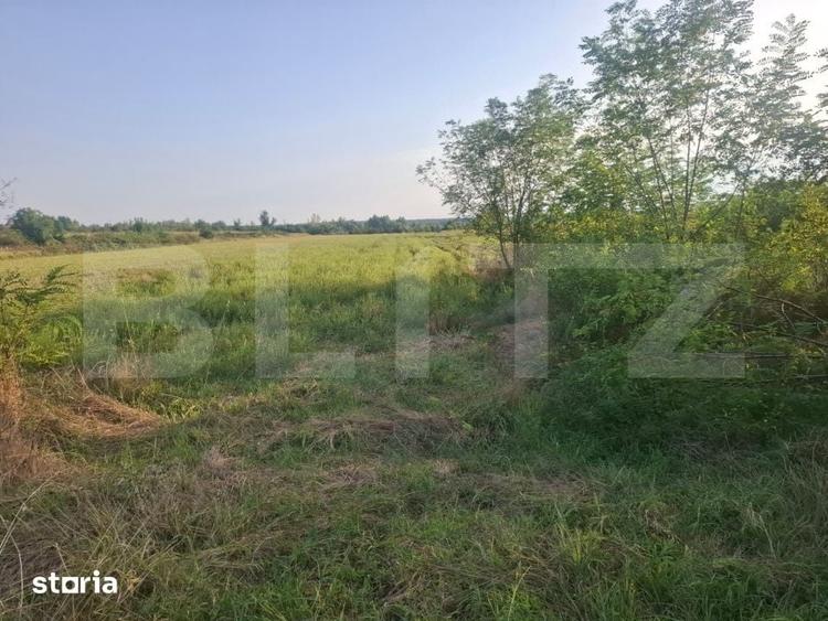 Teren de 5000 mp, în Ulmi