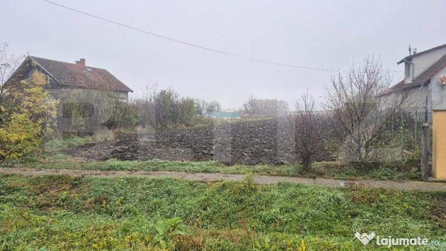 Teren de 27958 mp, în Vetiș