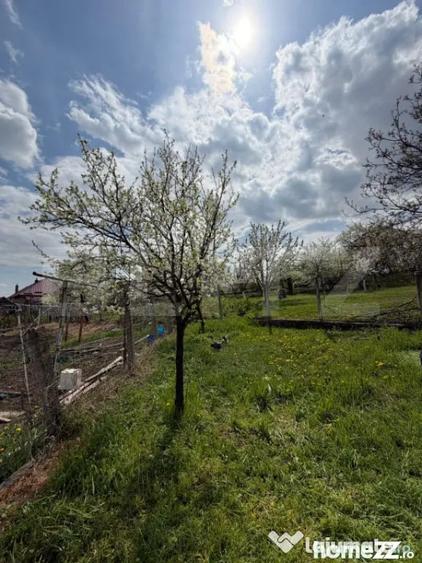 Casă cu 2 camere cu Teren 164 Mp în Central