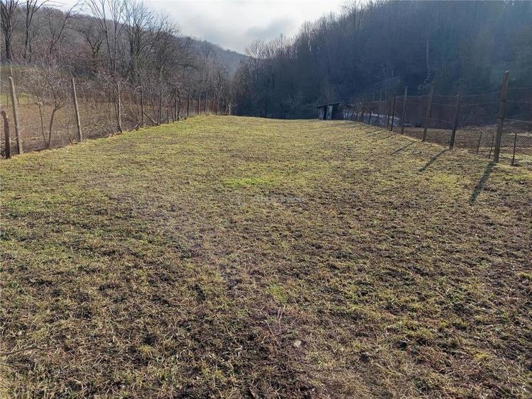 Casă cu Teren 1439 Mp în Ciclova Română