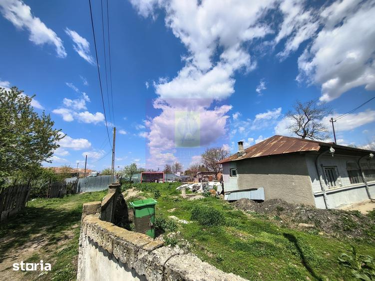 Teren de 975 mp, în Cernica