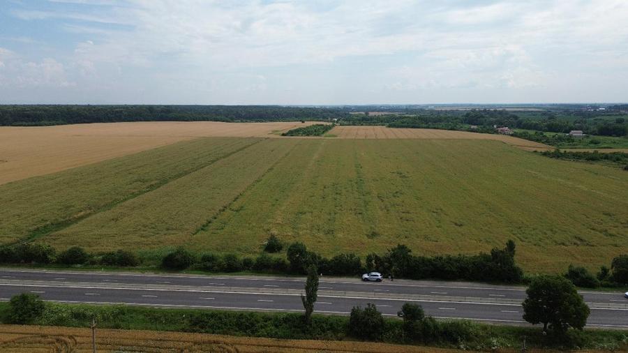 Teren agricol intravilan de 45120 mp, în Ciolpani