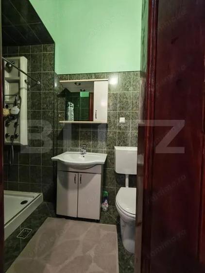 Apartament istoric pe malul Begai lumina, spa?iu ?i balcon cu view - 4