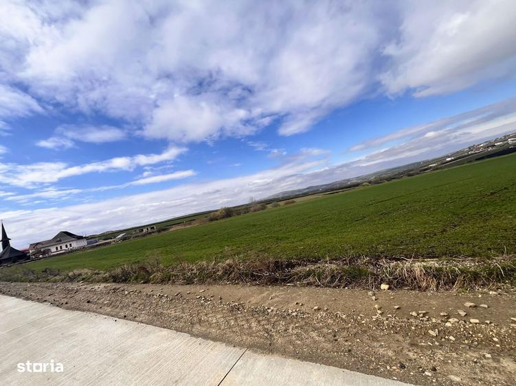 Teren de Vanzare 85 Ari I Suceava/Sf.Ecaterina I 355.000Euro - 2