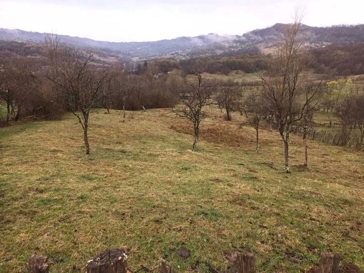 Teren de vanzare - 2