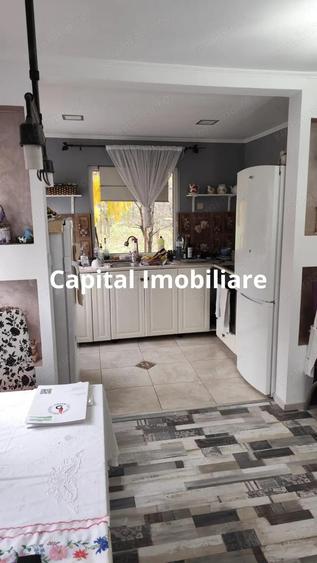 Casa Baicoi 95 mp Sc, 2578 mp teren - 16