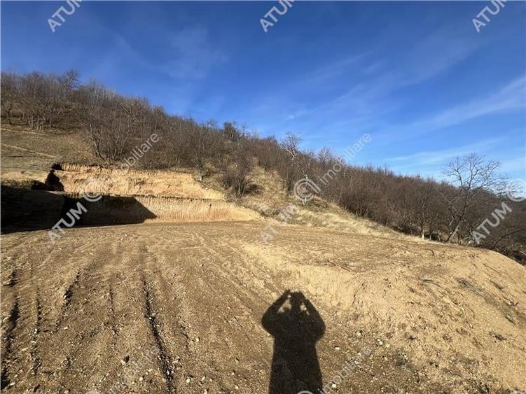 Teren intravilan de 1641 mp cu PUZ aprobat si utilitati in Cisnadioara - 10