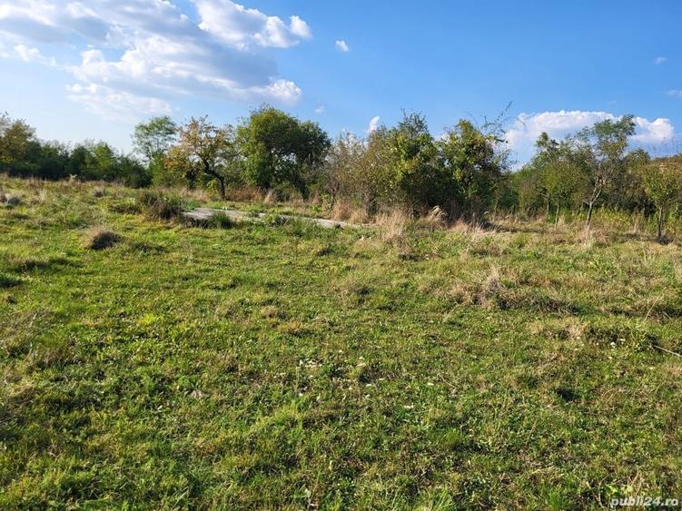 Vand casa in Pestere - 9