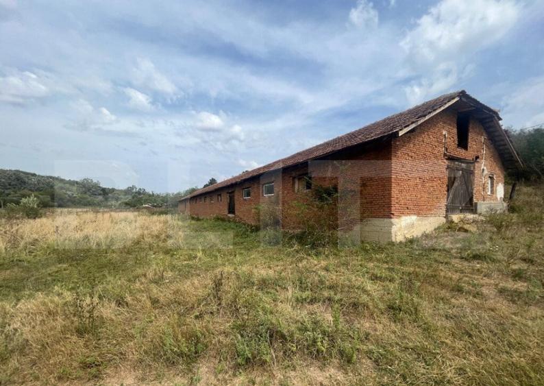 Ferma cu 3000 mp de teren si o constructie de 580 mp - 4