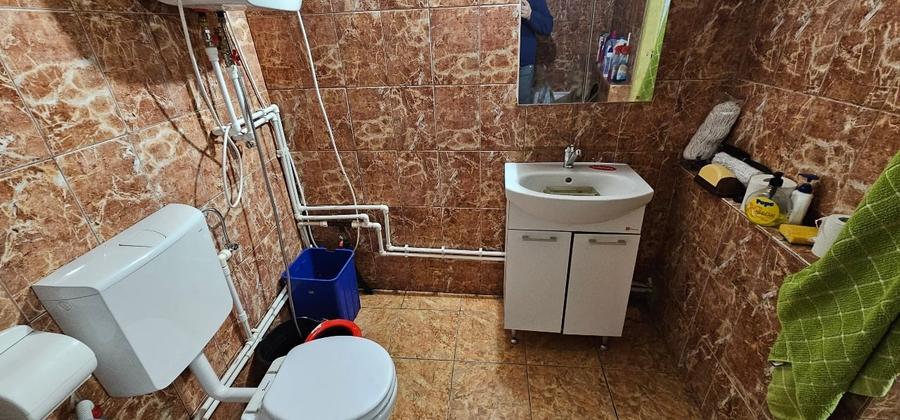 VÂNZARE MOȘIE – Sat Mitrofani, Comuna Mitrofani, jud. Vâlcea - 10