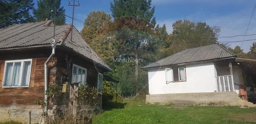 Casa si teren 1.6 ha de vanzare, in Rona de Jos