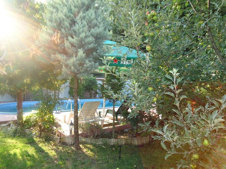 Vila piscina superba gradina matura cu iesire directa la padure - 29
