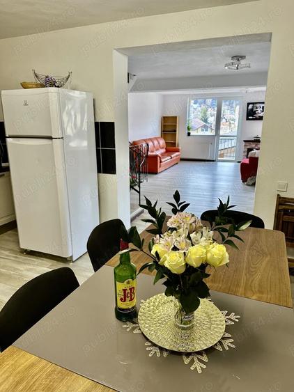 Inchiriez vila turism in Busteni cartierul Zamora - Castel Cantacuzino - 2