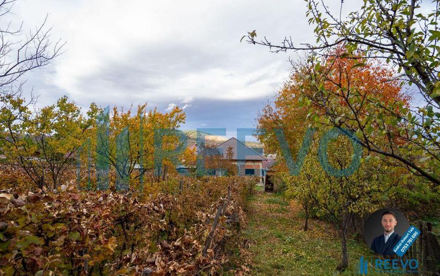 Casa de vanzare, strada Paun Pincio nr. 5, Moine?ti - 22