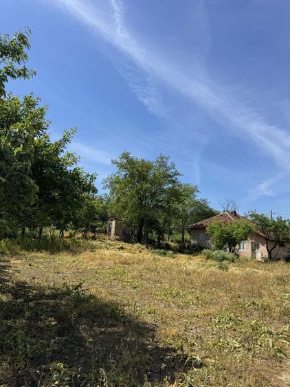 Vand casa Buzau 2000m2 ! - 1
