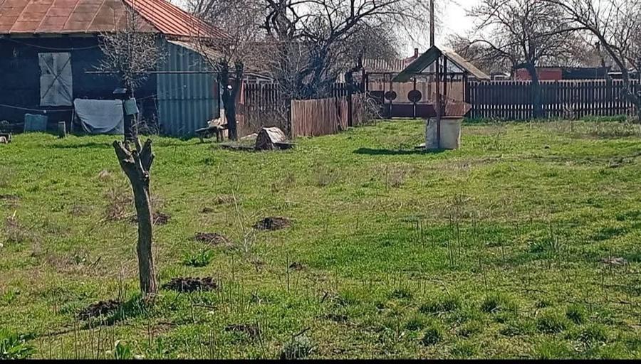 Teren intravilan 1587 mp | Deschidere [29] m | Casă demolabilă - 3