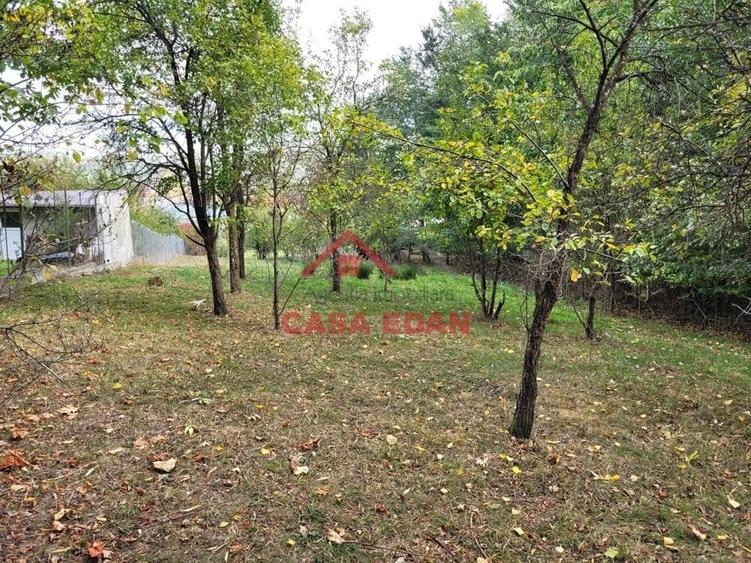 Teren intravilan in Breaza-- 2017 mp--50.000e - 5