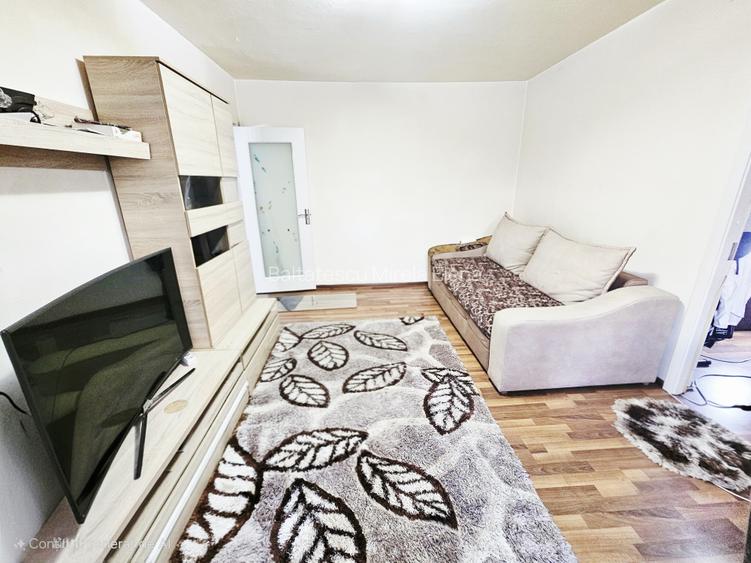 Apartament 2 camere, confort 2, parter – zona Malu Roșu Apartament 2 camere, confort 2, parter – zona Malu Roșu