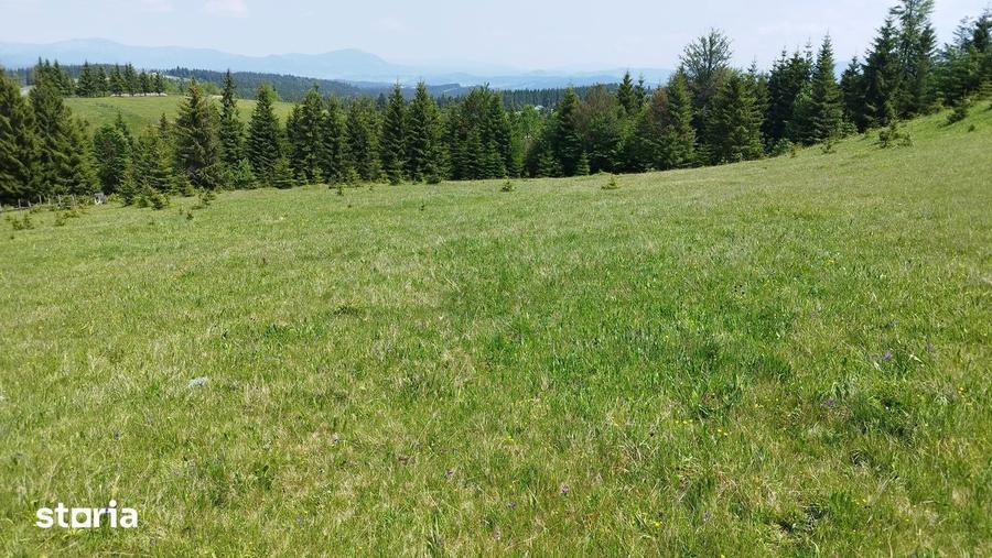 TEREN DE VANZARE Piatra Fantanele/TIHU?A - 12