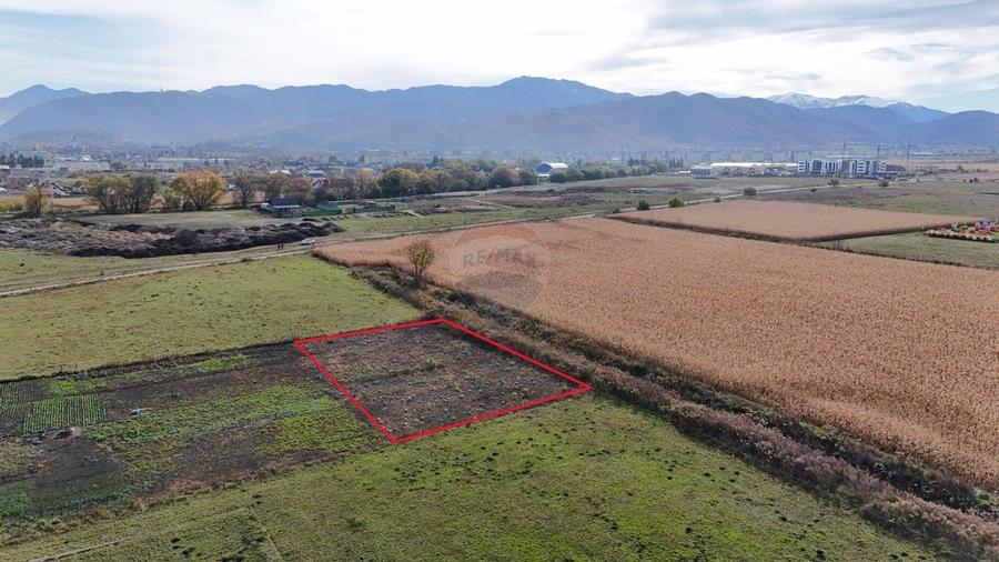 Comision 0% | Teren intravilan | Zona Bartolomeu-Lanii | 921 mp - 6