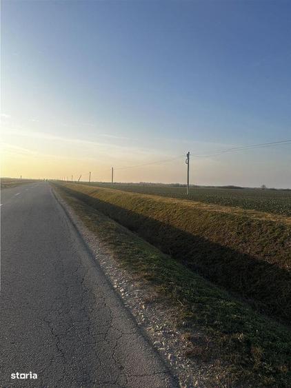 Teren Industrial Oradea spre Livada - 1