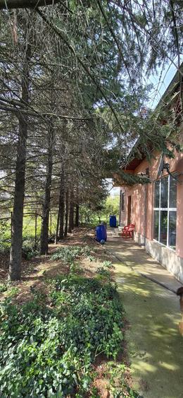 Casa Crevedia la doar 20 km de Bucuresti - 6