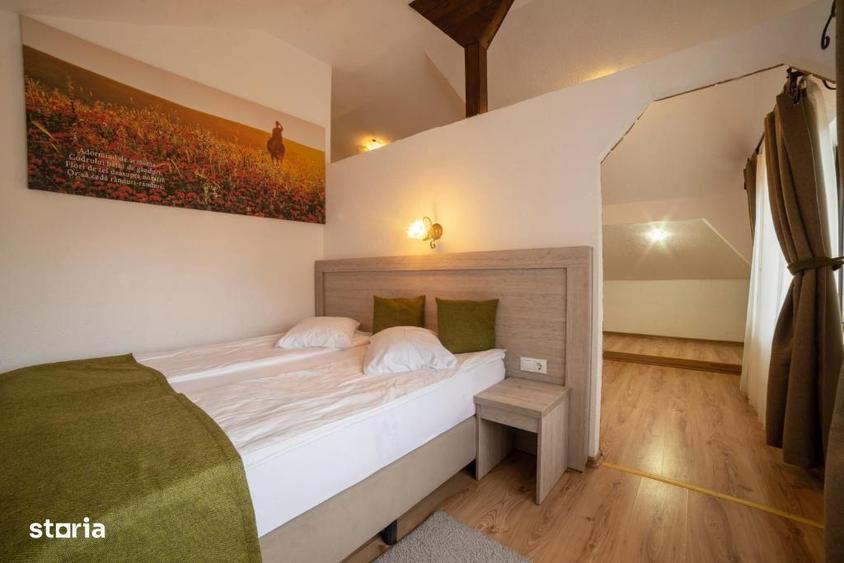 Domeniu turistic complet, pensiune 4 margarete, in functiune - 4