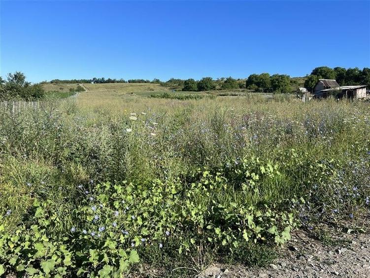 Teren pentru case, duplex,  zona frumoasa cu panorama sat Pata - 2