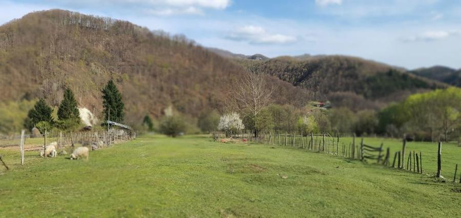 Teren intravilan Closani, 8674 mp pensiune/ casa vacanta - 2