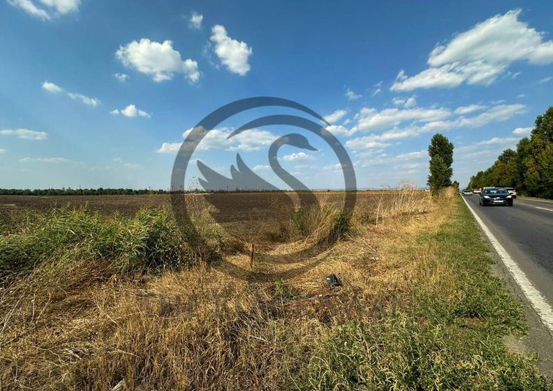 Teren extravilan de vanzare | 9882mp | Berceni - Prahova ... - 3