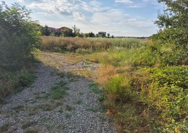 Teren ieftin la liziera padurii Balotesti, 13500 euro