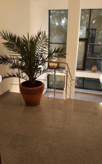 Duplex 350 mp/terasa/sauna/5 dormitoare la inchiriat - 19