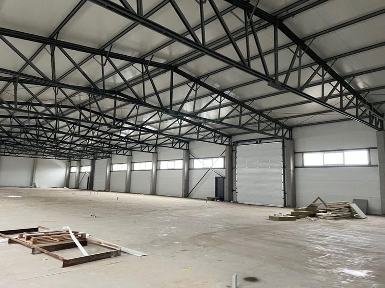 Spatiu depozitare si productie Chitila - 7