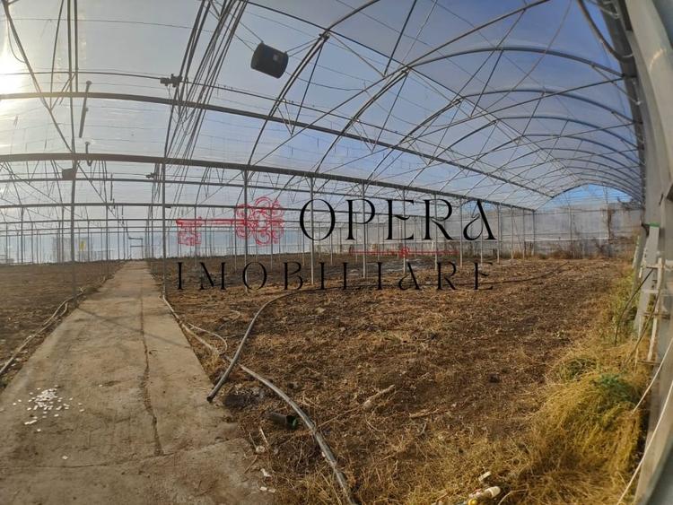 Teren intravilan 5000mp+Cladire265mp + Sera(2500mp), Rediu Aldei-Aroneanu - 5