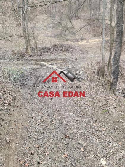 Teren extravilan in Provita--3448mp-12.000e - 10