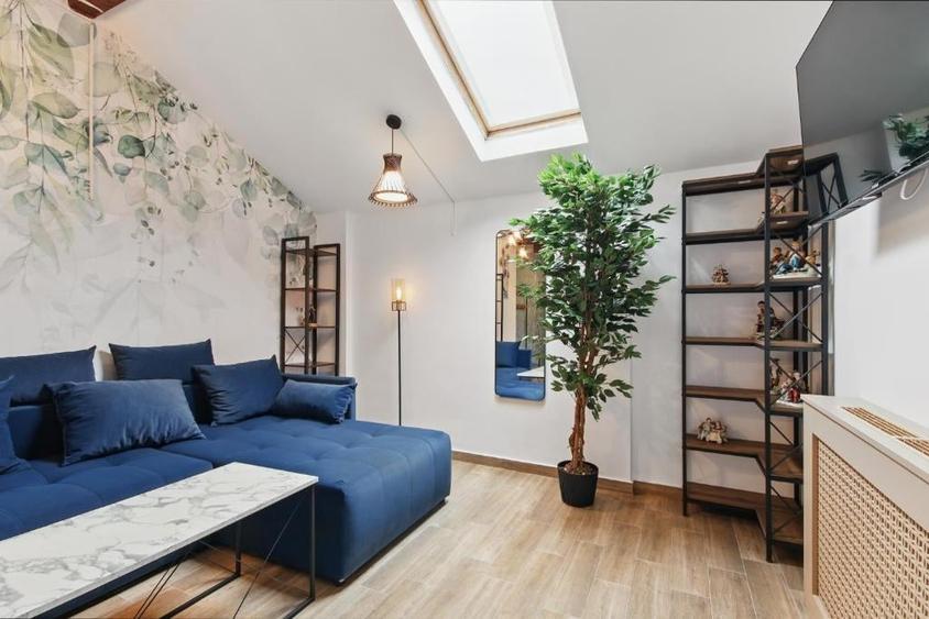 Casa  individuala si afacere la cheie - oportunitate -investiție - 9