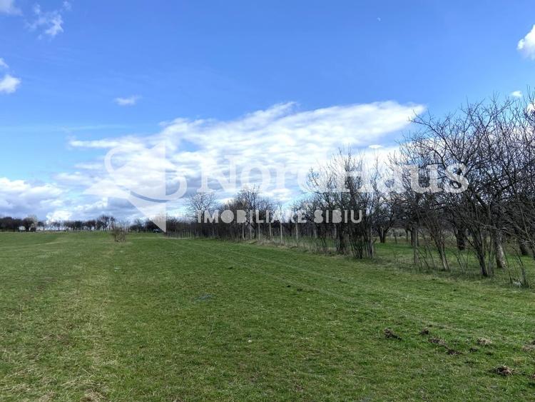 Teren Extravilan Rasinari 3500 mp - Zona deosebita - 3